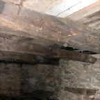 DSCN2228