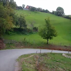 DSCN2237