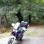 DSCN2299