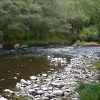 DSCN2313