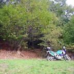 DSCN2177