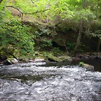 DSCN2187