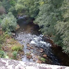 DSCN2242