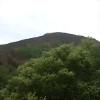 DSCN2258