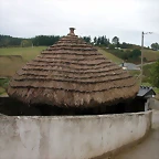 DSCN2290