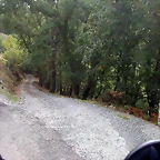 DSCN2163