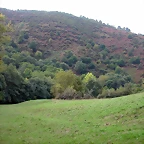 DSCN2180