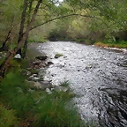 DSCN2305