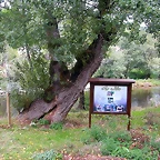 DSCN2249