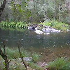 DSCN2312
