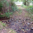 DSCN2301