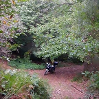 DSCN2205