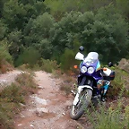 DSCN2260