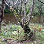 DSCN2307