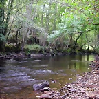 DSCN2184