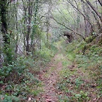 DSCN2302