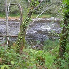 DSCN2303