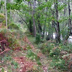 DSCN2315