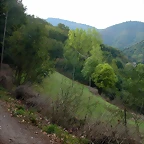 DSCN2166