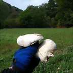 DSCN2178