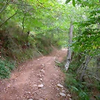DSCN2204