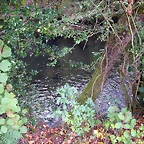 DSCN2181