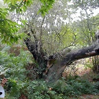 DSCN2203
