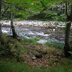 DSCN2306