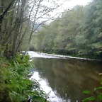 DSCN2310