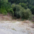 DSCN2199