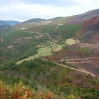 DSCN2281