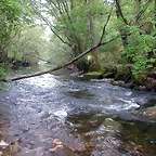 DSCN2186