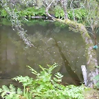 DSCN2309