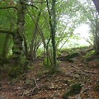 DSCN2185