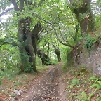 DSCN2212