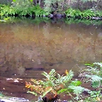 DSCN2308