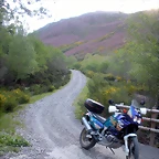 DSCN5147