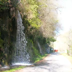 DSCN8021