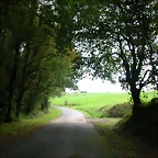 DSCN5829