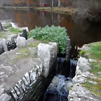 DSCN0763