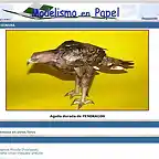 Águila Dorada