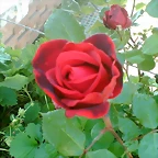 Photo012