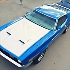 PB161542