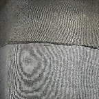 DSCN9981