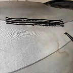 DSCN0173