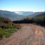 DSCN5280