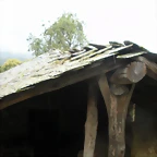 DSCN4733