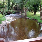 DSCN3295