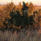 IMG_20200907_212357