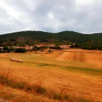 DSCN6876